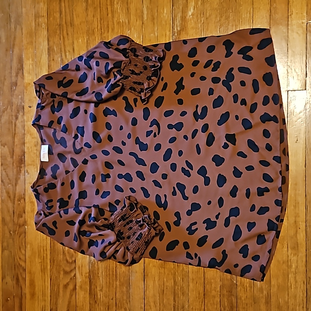 Boutique style blouse. It has never been worn.